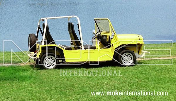 Mini_Moke_2013_01