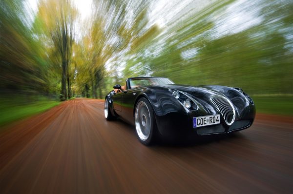Wiesmann Roaster MF5_Concourse d' Elegance_2018_01